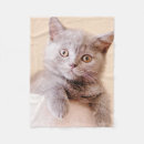 Search for british shorthair gifts Baby animals
