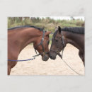 Search for love horses postcards Equine