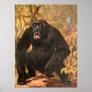 Search for lowlands posters Monkeys