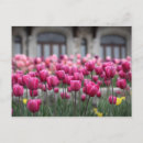 Search for valentines day mothers day cards Pink