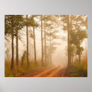Search for pine posters Elegant