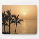Search for palm mousepads Shore
