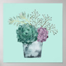 Search for succulent posters Plant