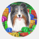Search for merle stickers Sheltie