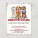 Search for dog grooming posters Pet