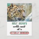 Search for protected postcards Nature