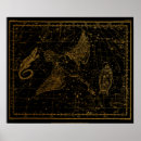 Search for antique star chart posters Celestial map