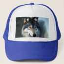 Search for fluffy white hats Wild