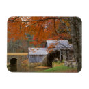 Search for large format cards Autumn