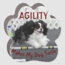 Search for agility bumper stickers jump