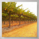 Search for grapevines posters California