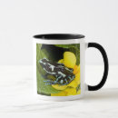 Search for poison frog mugs Poisonous
