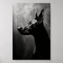 Search for black doberman posters Dobermann