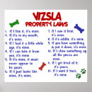 Search for vizsla posters Cute
