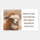 Search for alpaca stickers Farm
