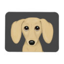 Search for dog coat magnets Dachshund
