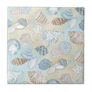 Search for beach home decor Seashells