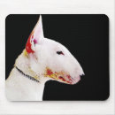 Search for bulls mousepads Terrier