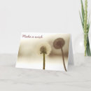 Search for macro photography cards Dandelion