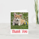 Search for corgi thank you cards Puppy
