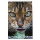 Search for bengal cat calendars Wild