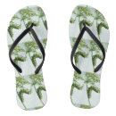 Search for insect shoes Nature