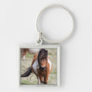 Search for shetland key rings Equine