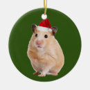 Search for hamster christmas tree decorations Efl