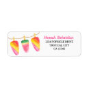 Search for popsicle return address labels Colourful