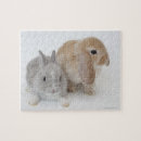 Search for lop rabbits puzzles Cute