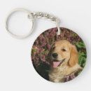 Search for goldie key rings Puppy