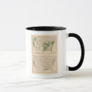 Search for pruning mugs States