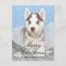 Search for husky christmas cards Puppy