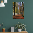 Search for fall colours posters Forest