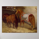 Search for stable posters 19th