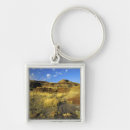 Search for provincial key rings Alberta