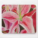 Search for stargazer lily electronics Pink