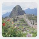 Search for columbian stickers Inca