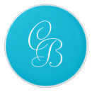 Search for turquoise blue knobs and pulls Aqua
