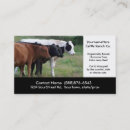 Search for butchering Cattle