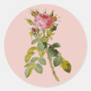 Search for english rose stickers Flower