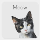 Search for grey and white cat stickers Animal