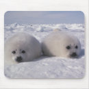 Search for harp mousepads White