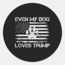 Search for usa flag and dog stickers Lets go brandon