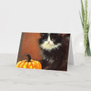 Search for black and white kitten invitations Cute