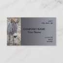 Search for donkey business cards Animal