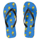 Search for bird shoes Woodstock