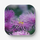 Search for aster plates Flowers