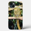 Search for primate phone cases Wildlife