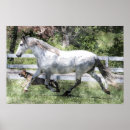Search for andalusian art Equine